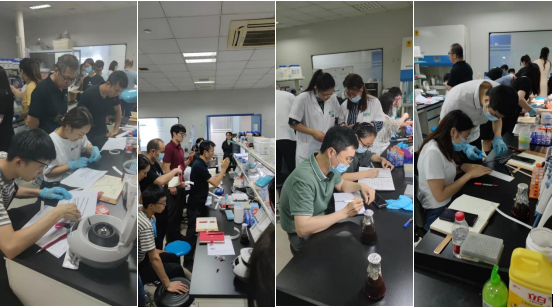 1705847313683073.png 圖片8.png